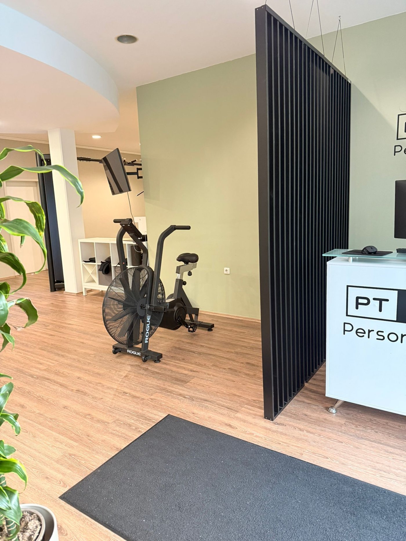 Trainingsbereich von Fit By McDoe in Landshut mit salbeigrüner Wand und Holzboden
